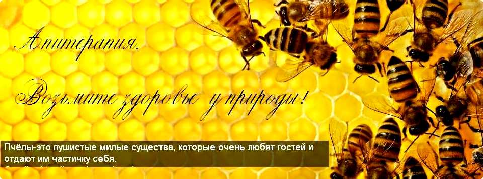 Апитерапия - лечение с помощью пчелы